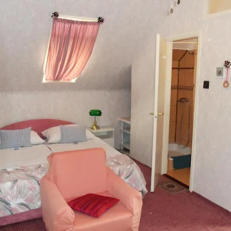 Guest house Bartok 3*